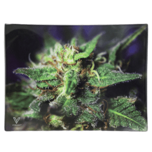 מגש גלגול פרימיום זכוכית Blue Dream קטן