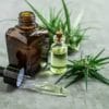 שמן קנאביס: 5 טיפים לשימוש נכון ויעיל