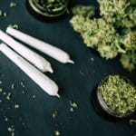 קססה – המדריך המלא להכנת קססה של מקצוענים