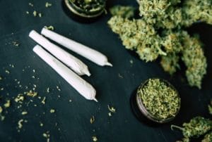 קססה – המדריך המלא להכנת קססה של מקצוענים