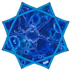 מנדלה סטאר DNA