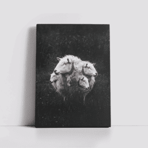 הדפס קנבס ONAM Graphic Design