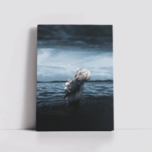 הדפס קנבס ONAM Graphic Design