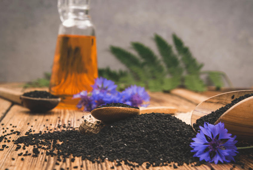 10 זני סאטיבה מומלצים לשנת 2023