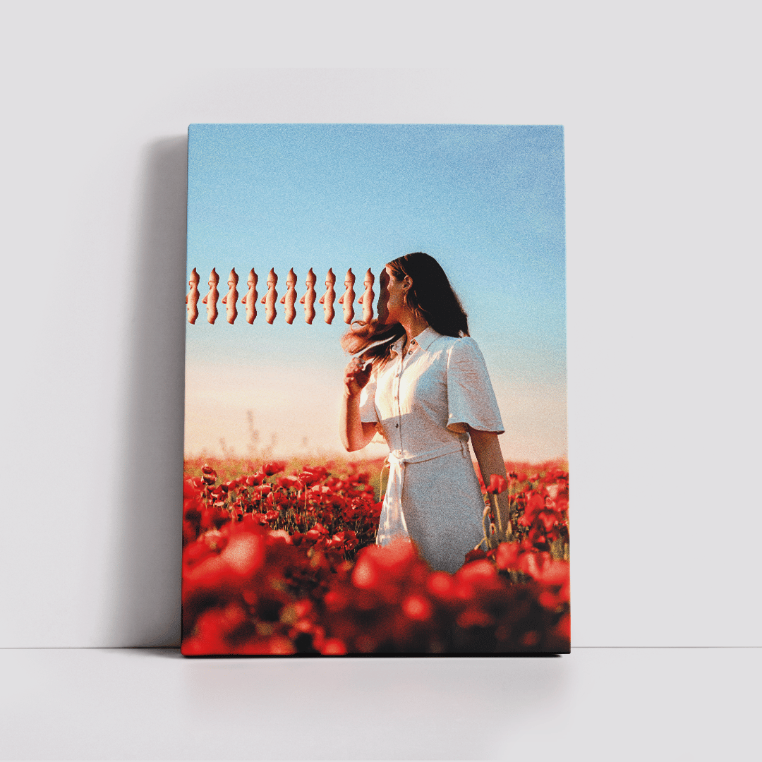 הדפס קנבס ONAM Graphic Design